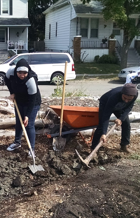Two young people are working on a front lawn which has had its sod removed. They are digging in hte dirt with a shovel and a pick. A wheelbarrow is behind them, and the camera is facing the street.